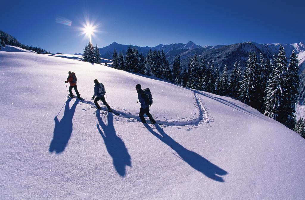 Alpina Zillertal . Family Lifestyle Kinderhotel Fügen Dış mekan fotoğraf